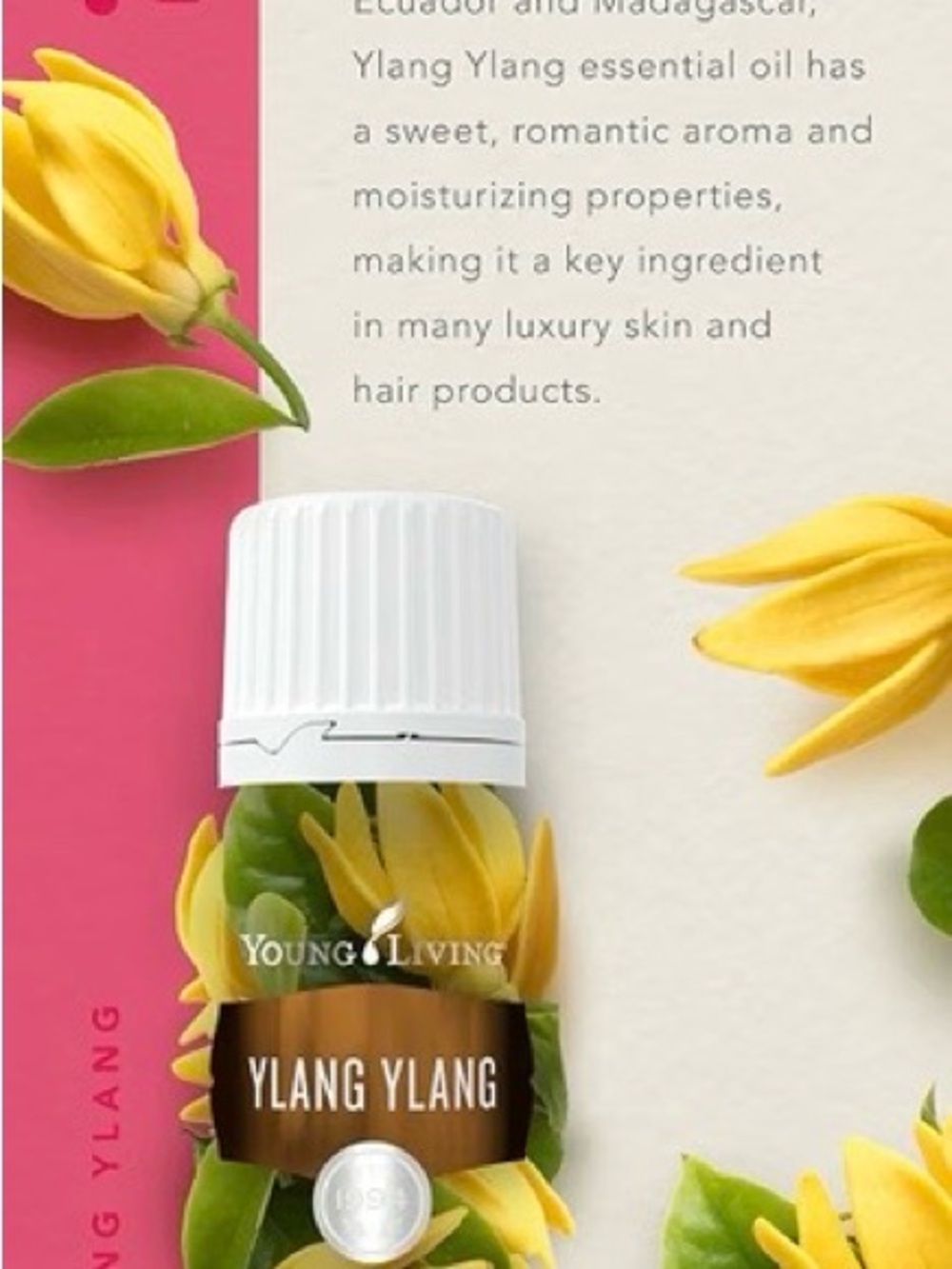Young Living Ylang Ylang essential oil 5 ml Bottle - BRAND NEW UNOPENED SEALED - Picture 6 of 6